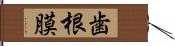 歯根膜 Hand Scroll