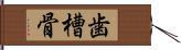 歯槽骨 Hand Scroll