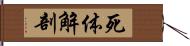 死体解剖 Hand Scroll