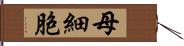 母細胞 Hand Scroll