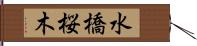 水橋桜木 Hand Scroll