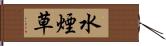 水煙草 Hand Scroll