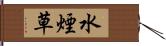 水煙草 Hand Scroll