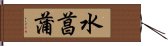 水菖蒲 Hand Scroll