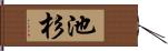 池杉 Hand Scroll