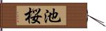 池桜 Hand Scroll