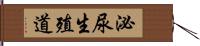 泌尿生殖道 Hand Scroll