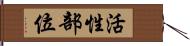 活性部位 Hand Scroll