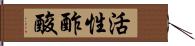 活性酢酸 Hand Scroll