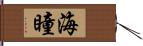 海瞳 Hand Scroll