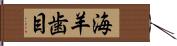 海羊歯目 Hand Scroll