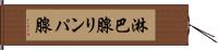淋巴腺 Hand Scroll