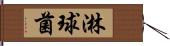 淋球菌 Hand Scroll