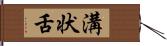 溝状舌 Hand Scroll