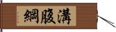 溝腹綱 Hand Scroll