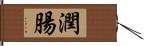 潤腸 Hand Scroll