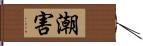 潮害 Hand Scroll