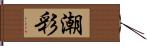 潮彩 Hand Scroll