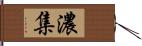 濃集 Hand Scroll