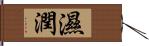 濕潤 Hand Scroll