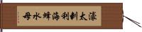 濠太剌利海蜂水母 Hand Scroll