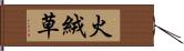 火絨草 Hand Scroll