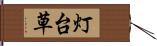 灯台草 Hand Scroll