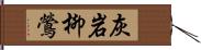 灰岩柳鶯 Hand Scroll