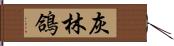 灰林鴿 Hand Scroll