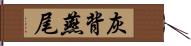 灰背燕尾 Hand Scroll