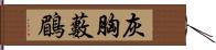 灰胸藪鶥 Hand Scroll