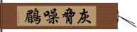 灰脅噪鶥 Hand Scroll