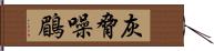 灰脅噪鶥 Hand Scroll