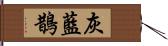 灰藍鵲 Hand Scroll