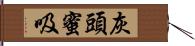 灰頭蜜吸 Hand Scroll