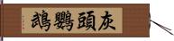 灰頭鸚鵡 Hand Scroll