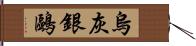 烏灰銀鷗 Hand Scroll