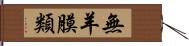 無羊膜類 Hand Scroll