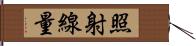 照射線量 Hand Scroll