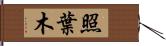 照葉木 Hand Scroll