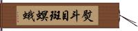 熨斗目斑螟蛾 Hand Scroll