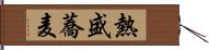 熱盛蕎麦 Hand Scroll