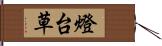 燈台草 Hand Scroll