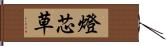 燈芯草 Hand Scroll