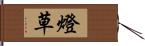 燈草 Hand Scroll