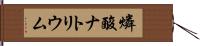 燐酸ナトリウム Hand Scroll