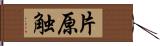 片原触 Hand Scroll