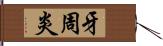 牙周炎 Hand Scroll