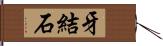 牙結石 Hand Scroll