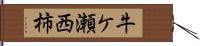 牛ケ瀬西柿 Hand Scroll